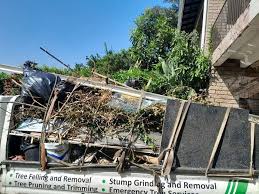 Best Same-Day Junk Removal Services  in Prophetstown, IL